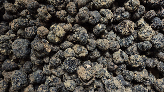 Prima, seconda o terza scelta? Guida pratica al tartufo fresco