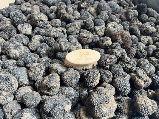 Tartufo fresco vs tartufo conservato: differenze e consigli di utilizzo