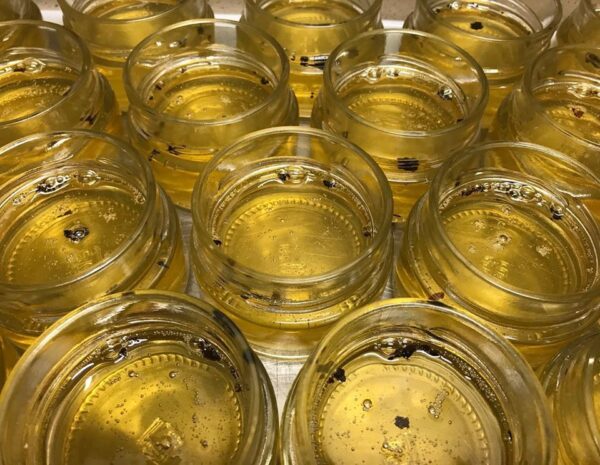 Truffle honey