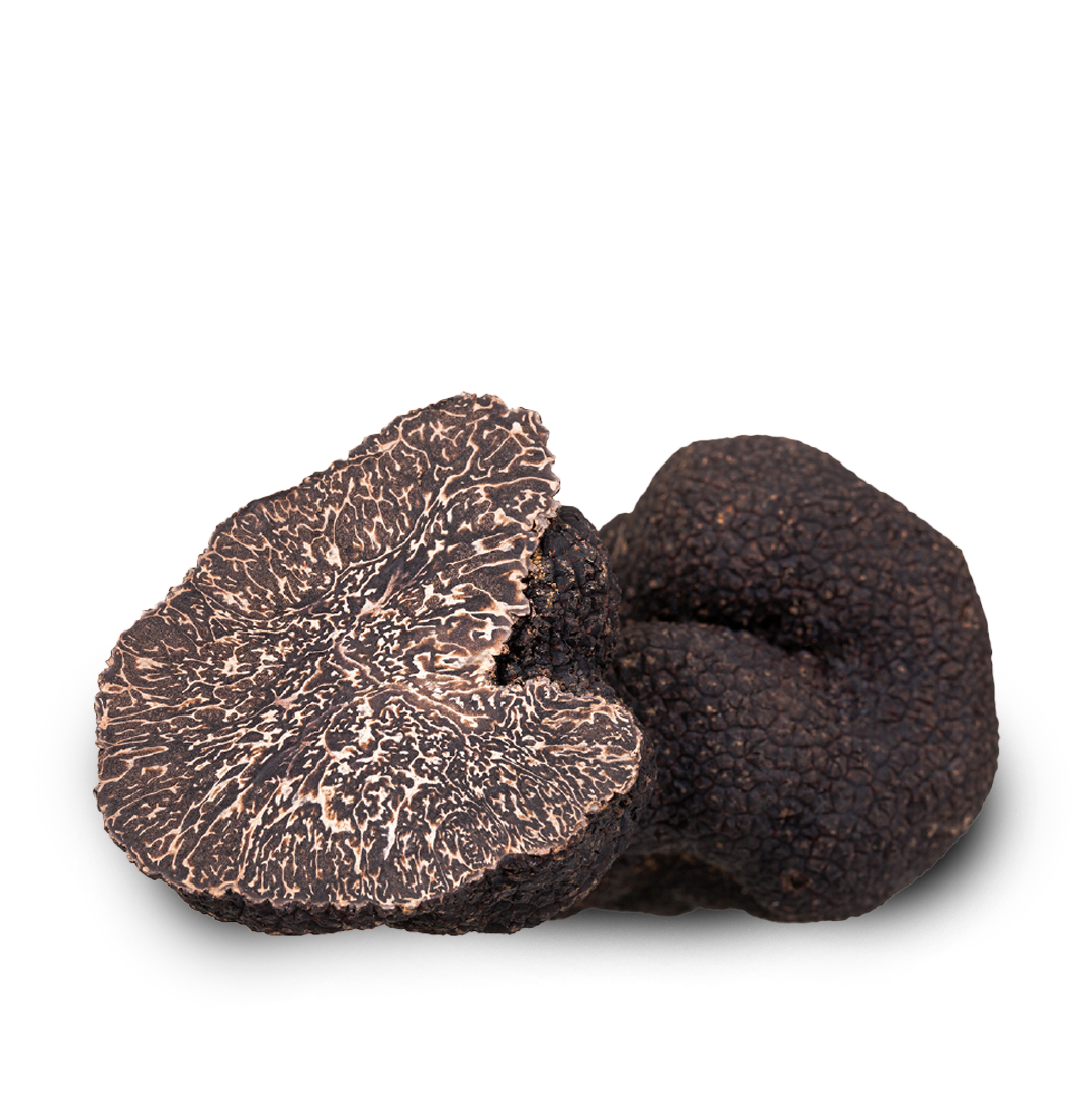 Tartufo uncinato - Tartufo fresco