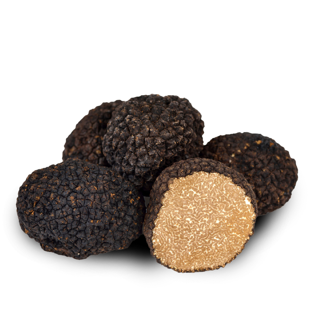 Tartufo uncinato fresco