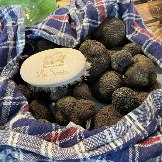 Frischer Uncinato-Trüffel, in unserer Gegend geerntet, 100 % italienischer Trüffel aus den Abruzzen.