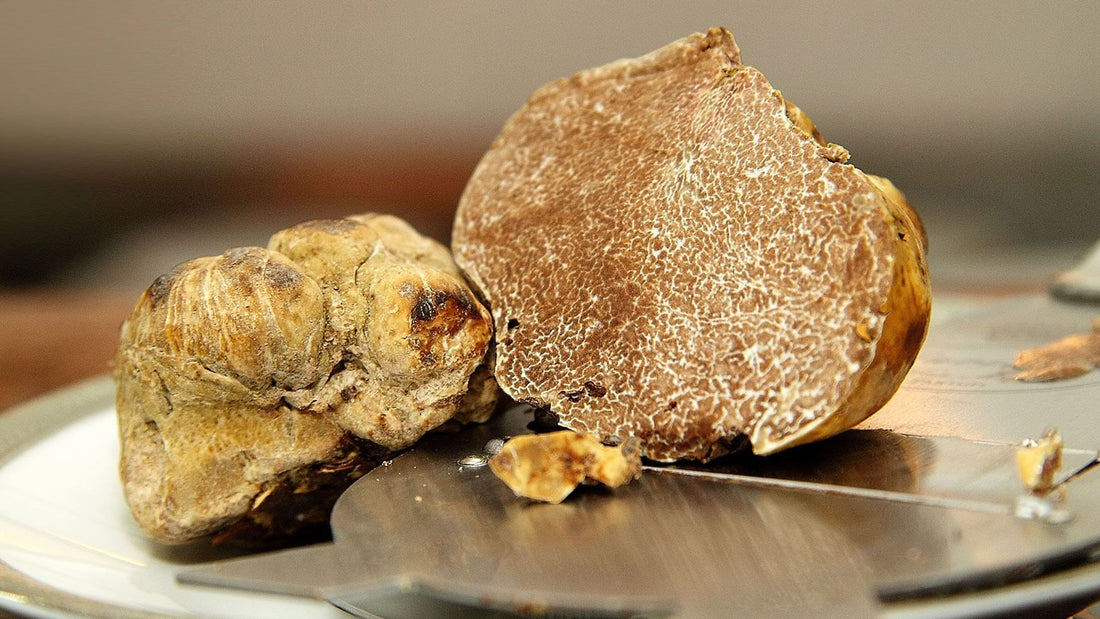 Consigli per l’abbinamento del tartufo bianco pregiato con le carni rosse