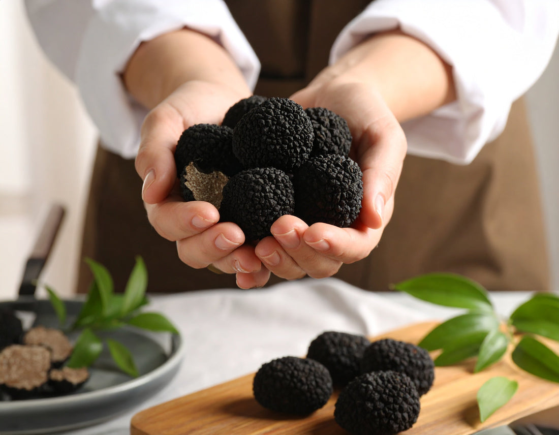 Guida completa al Tartufo Nero Pregiato: origini, caratteristiche e consigli per l’uso