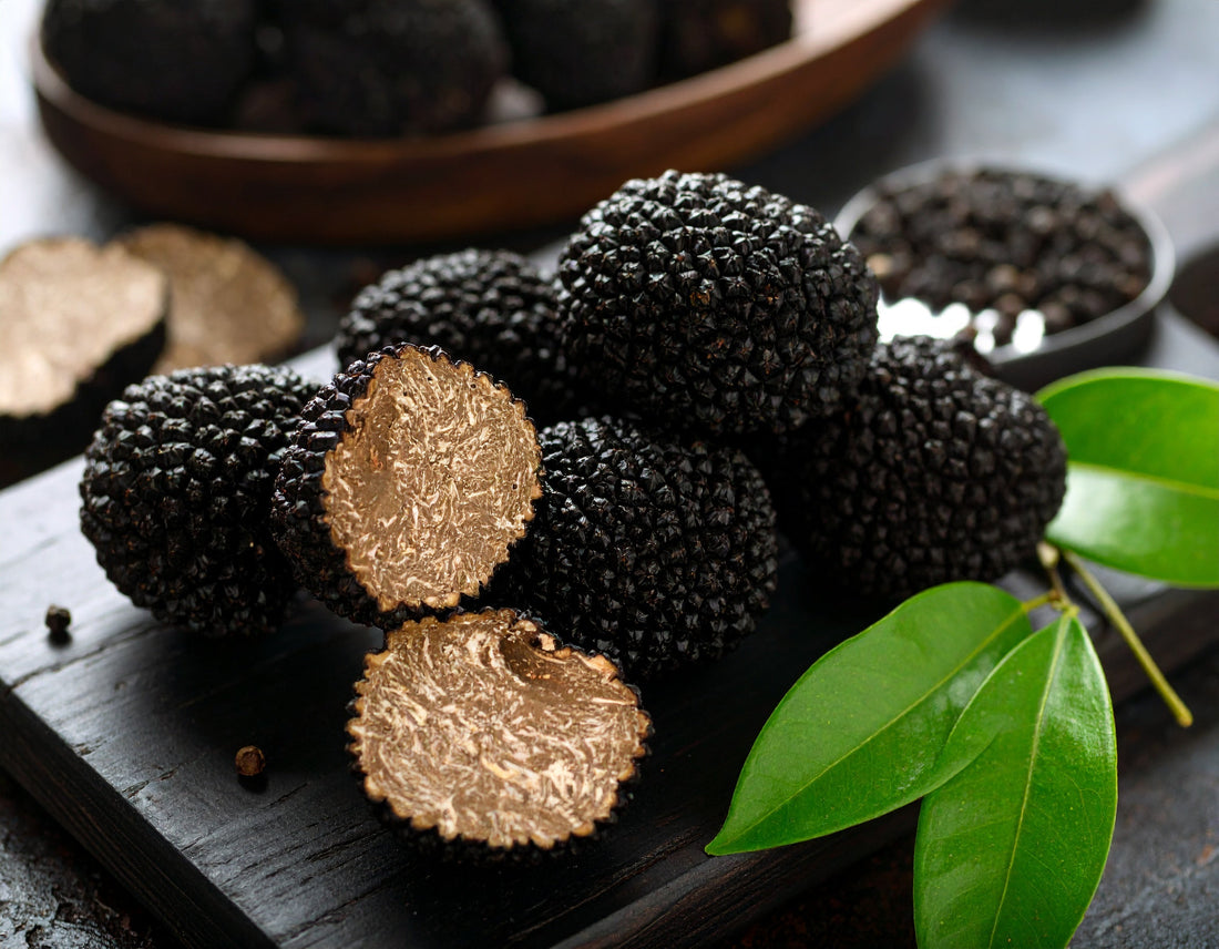 Le migliori ricette con il tartufo scorzone