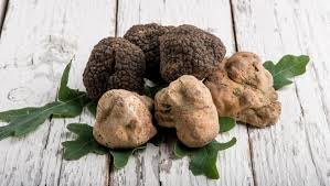 Guida completa al Tartufo Nero Pregiato: origini, caratteristiche e consigli per l’uso