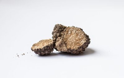 Alla scoperta del tartufo estivo: dove trovarlo e come riconoscerlo