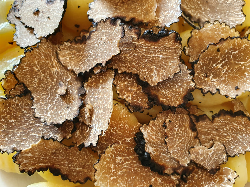 Fresh summer truffle or Scorzone (Tuber Aestivum Vitt.) collected in our territory, 100% Italian truffle.