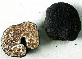 Tartufo Nero Ordinario Fresco (Tuber Mesentericum Vitt.) tartufo 100% italiano