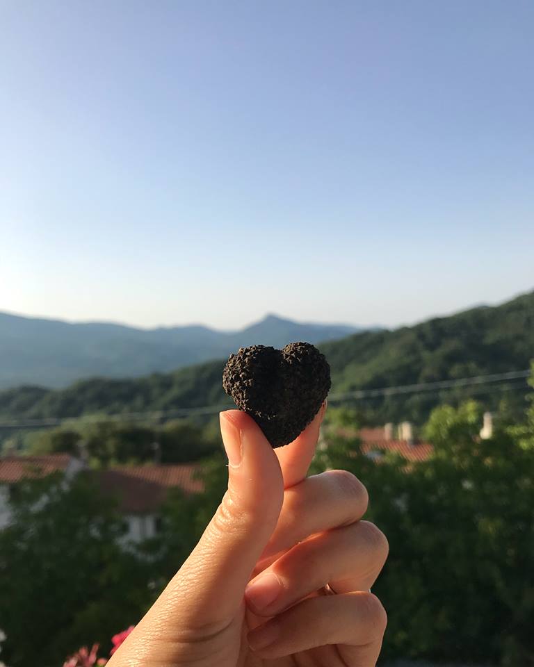 Fresh summer truffle or Scorzone (Tuber Aestivum Vitt.) collected in our territory, 100% Italian truffle.