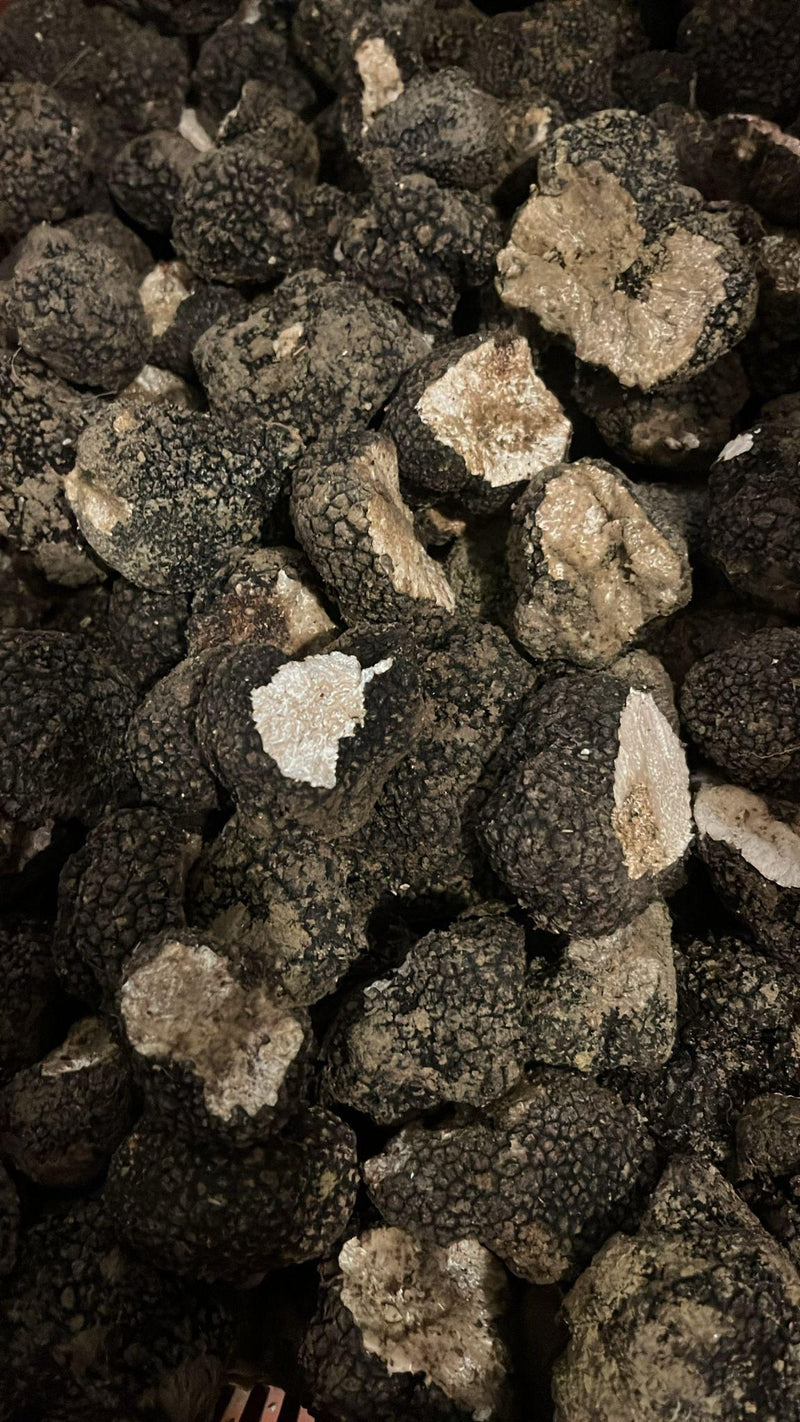 Tartufo estivo o Scorzone (Tuber Aestivum Vitt.) fresco 100% italiano