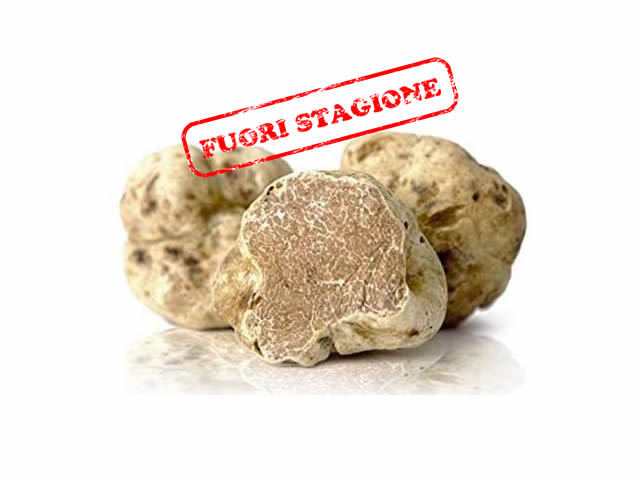 Tartufo Bianco Pregiato Tuber Magnatum Pico Azienda Agricola La Spora